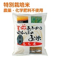 生命あふれる田んぼのお米　みやこがね（もち米/白米）2kg 【スカイ・フード】 ※同梱と代引不可・メーカー直送送料840円〜・20kg単位で送料無料（離島除く)|米・小麦・シリアル|自然食品・厳選食品
