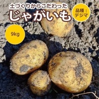 【大阪府茨木産】農薬・化学肥料・除草剤不使用 デジマ じゃがいも （9kg） ※送料無料（一部地域を除く）【健康サポート農園】 循環農法 畜産堆肥不使用|産直新鮮野菜|無農薬・有機栽培食材