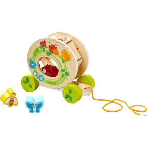 プルトーイ・型はめかめさん （HA7176） 【ハバ/HABA】※キャンセル不可