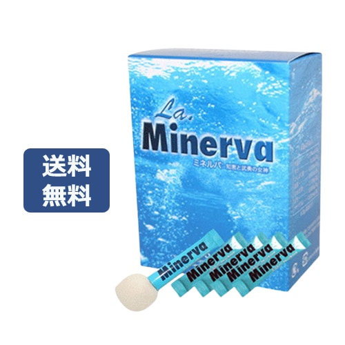 ミネルバ（ピタヤ・青パパイヤ・パパイヤ葉発酵食品） （3g×30包）【アイ・オー・エヌ】※賞味期限25年09月02日まで 在庫限り ※返品不可 ※キャンセル不可