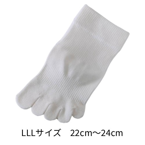 【予約商品】コンフォートサポートソックス ジュニア こども用（JH1WH）【ホワイト】【LLL】【CSソックス】 【ファイブコンフォート】※入荷次第順次お届け