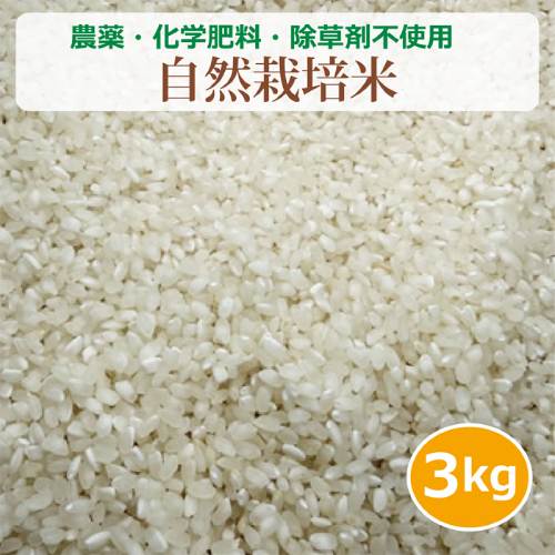 農薬・化学肥料・除草剤不使用 自然栽培米 （3kg） 【健康サポート農園