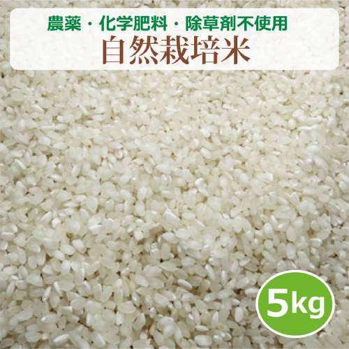 農薬・化学肥料・除草剤不使用 自然栽培米 （5kg） 【健康サポート農園