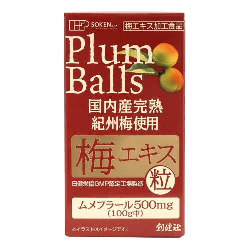 国内産完熟紀州梅使用 梅エキス 粒 90g（約450粒） 【創健社】