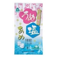 【お買上特典】【4-8月】梅塩うめ塩あめ (80g) 【サンコー】