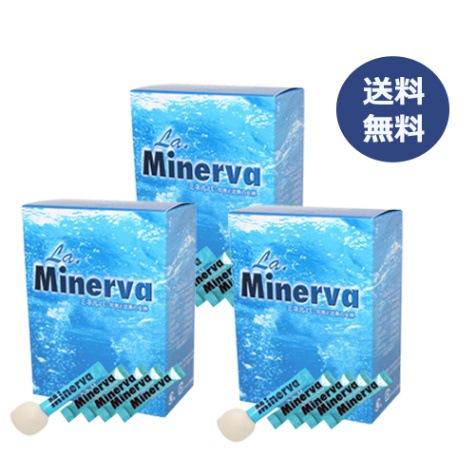 ミネルバ 青パパイヤ発酵食品×3箱セット ※送料無料（一部地域を除く）【あす着対応】