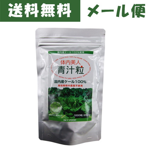 体内美人 青汁粒（1000粒）【スカイ・フード】【ゆうパケット送料無料（2個まで）】