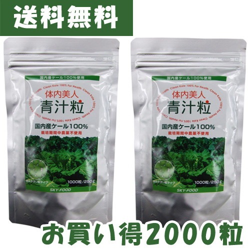 体内美人 青汁粒（1000粒×2袋）【スカイ・フード】※ゆうパケット送料無料 ※代引き不可