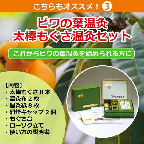 タンポポ茶 ショウキT-1PLUS （100ml×30包）×4箱セット 『妊娠・出産