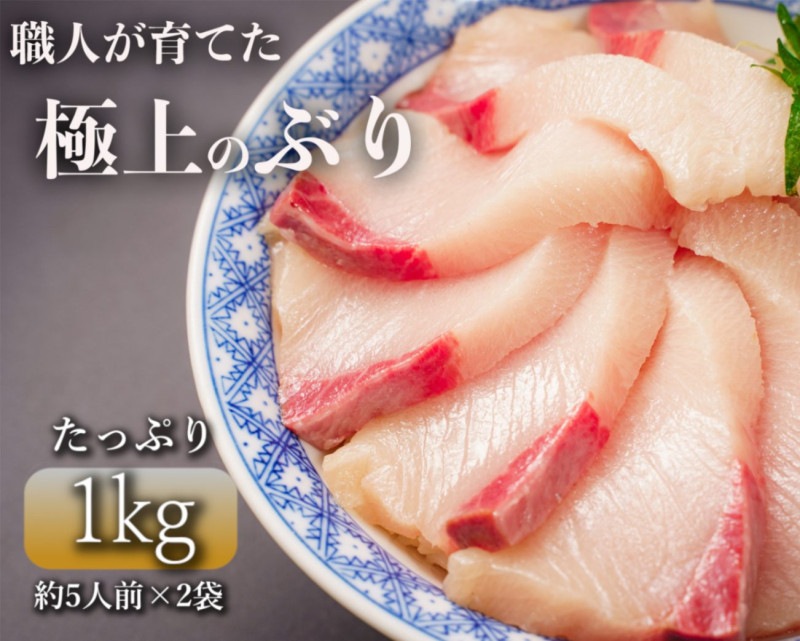 「勇ぶり」1kg【鹿児島の極上ぶり】