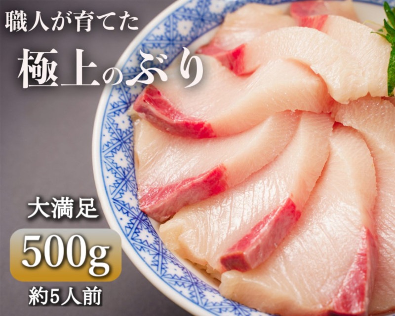 「勇ぶり」500g【鹿児島の極上ぶり】