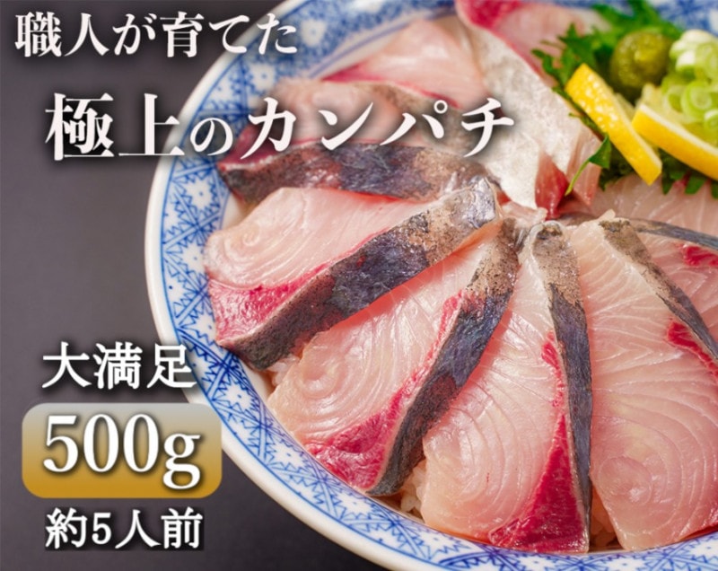 「勇カンパチ」500g【鹿児島の極上カンパチ】