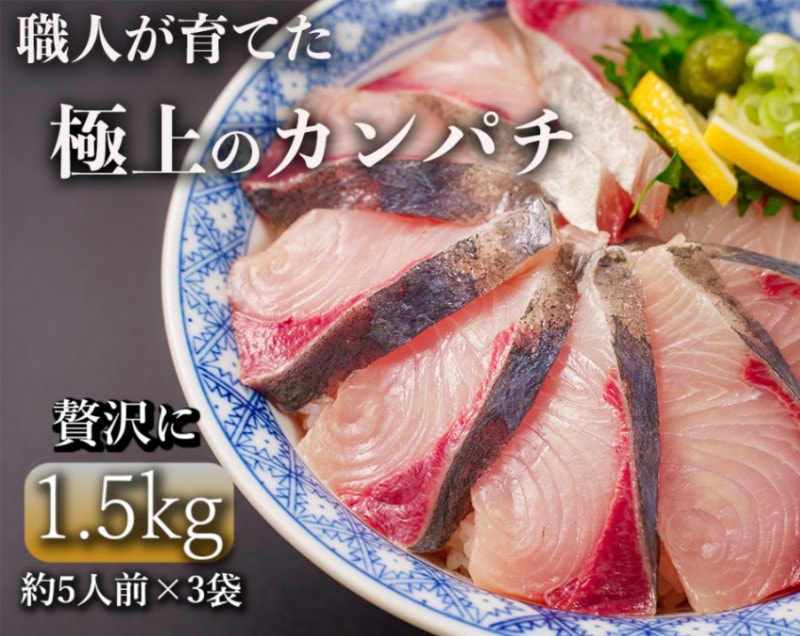 「勇カンパチ」1.5kg【鹿児島の極上カンパチ】