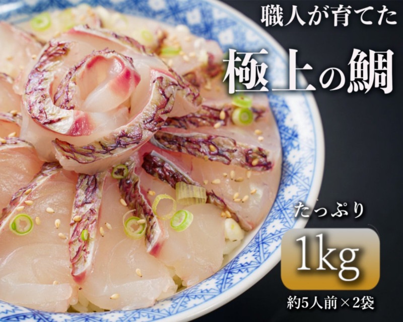 「勇まだい」1kg　【天草の絶品真鯛】