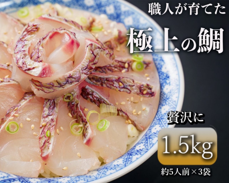 「勇まだい」1.5kg　【天草の絶品真鯛】