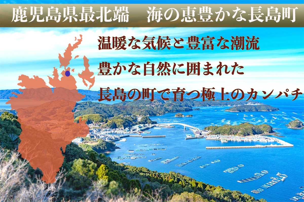 「勇カンパチ」1kg【鹿児島の極上カンパチ】