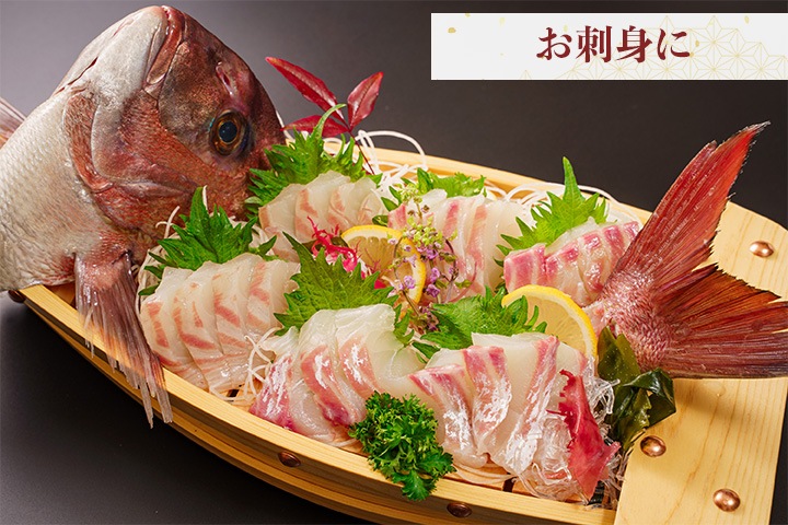 「勇まだい」1kg　【天草の絶品真鯛】