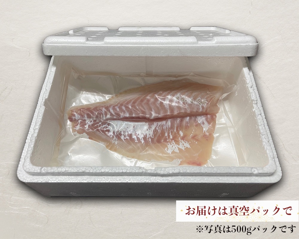 「勇まだい」1kg　【天草の絶品真鯛】