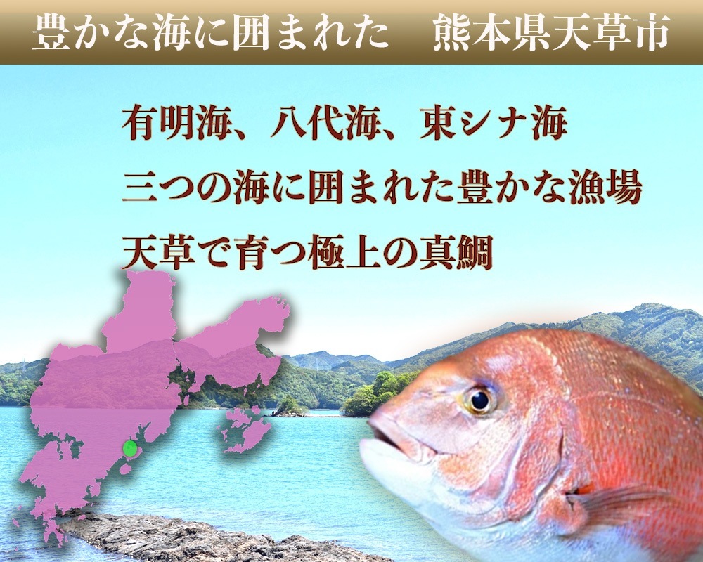 「勇まだい」1kg　【天草の絶品真鯛】