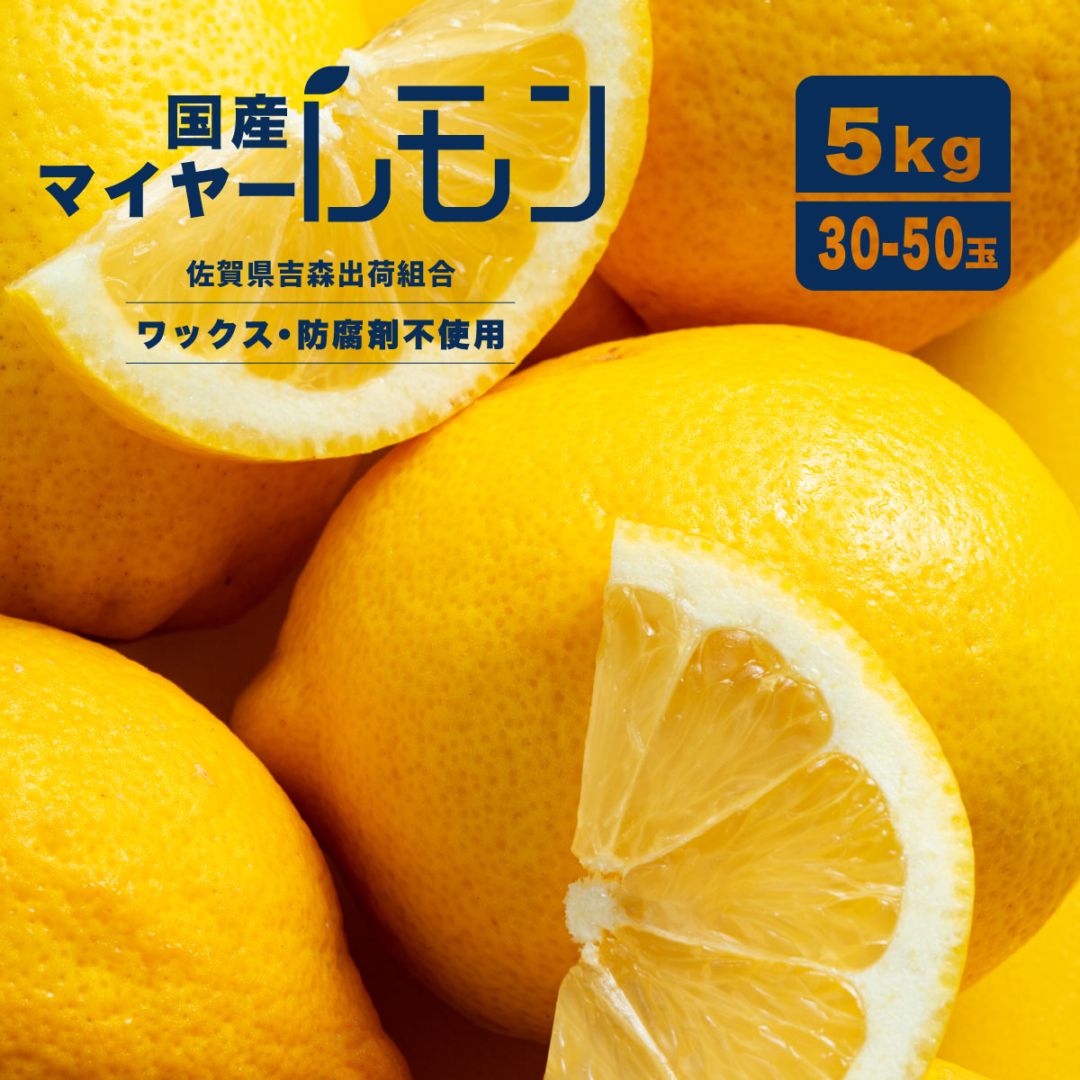 マイヤーレモン