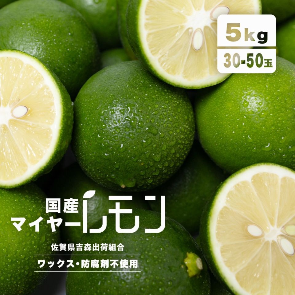佐賀県産 ］マイヤーレモン 2L～M 30玉～50玉 5kg相当