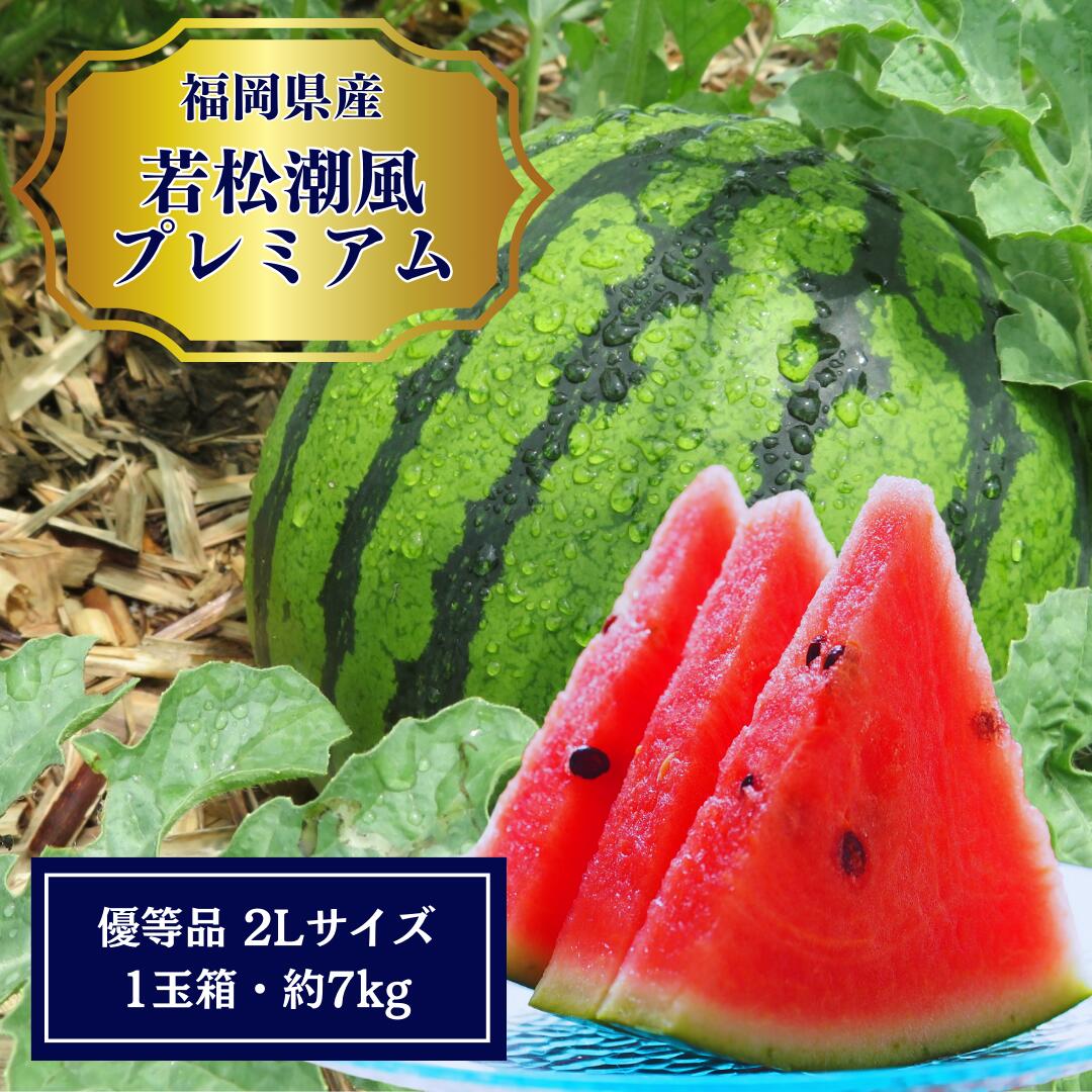 若松潮風プレミアム西瓜