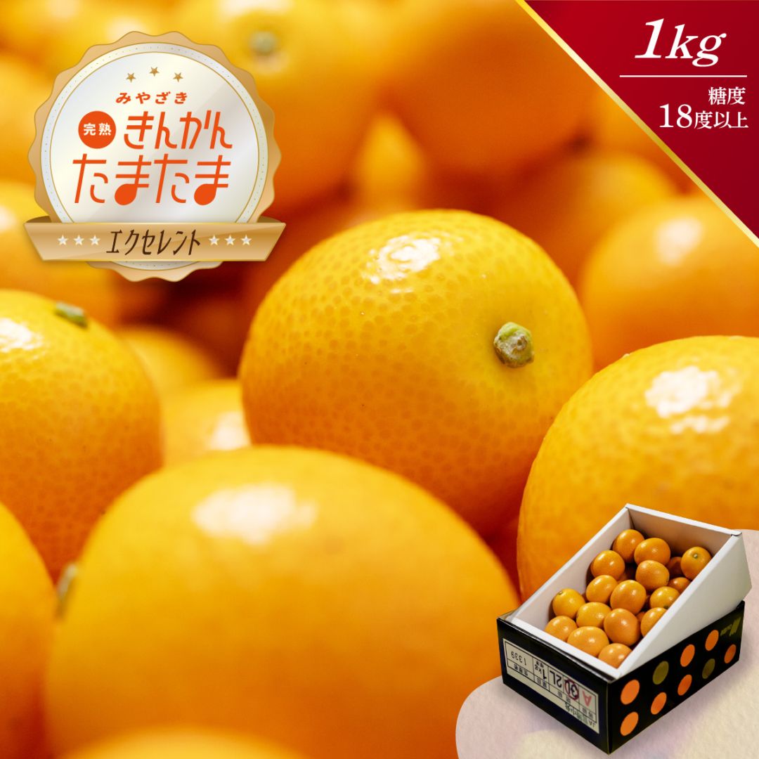 完熟きんかん たまたまエクセレント
