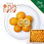 完熟きんかん たまたま