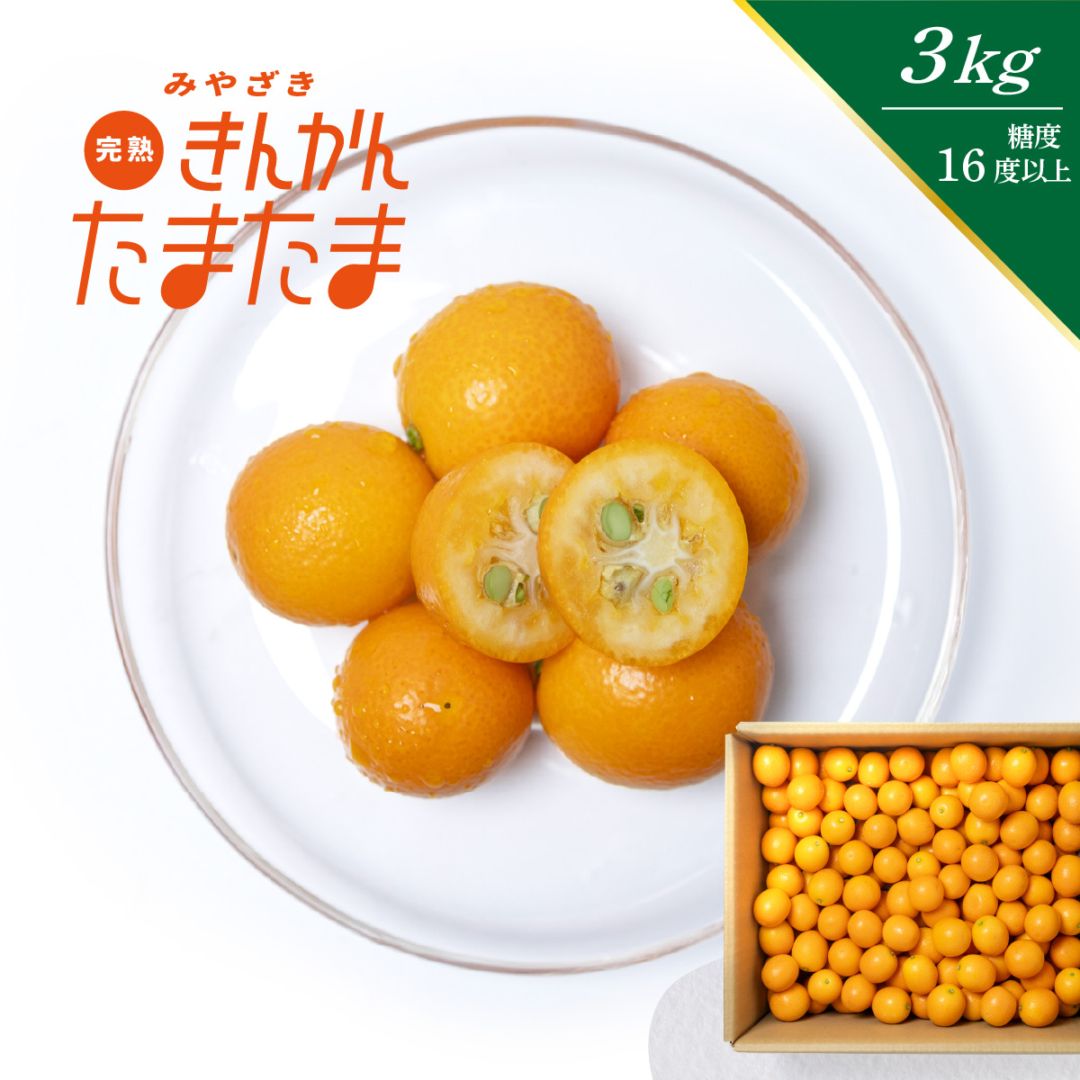 完熟きんかん たまたま