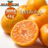 山川みかん マイルド130