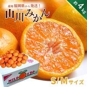 山川みかん マイルド130