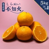 不知火-しらぬい-|柑橘類|果物