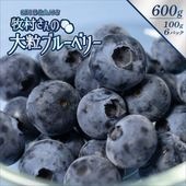 牧村さんのブルーベリー