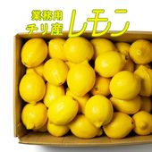 輸入レモン（業務用）