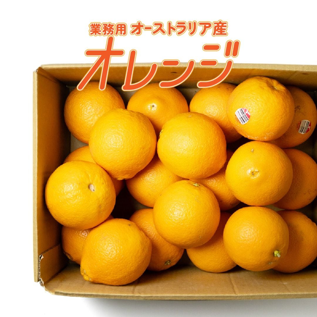 オレンジ（業務用）