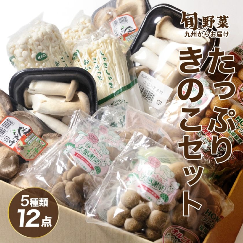 たっぷりきのこセット