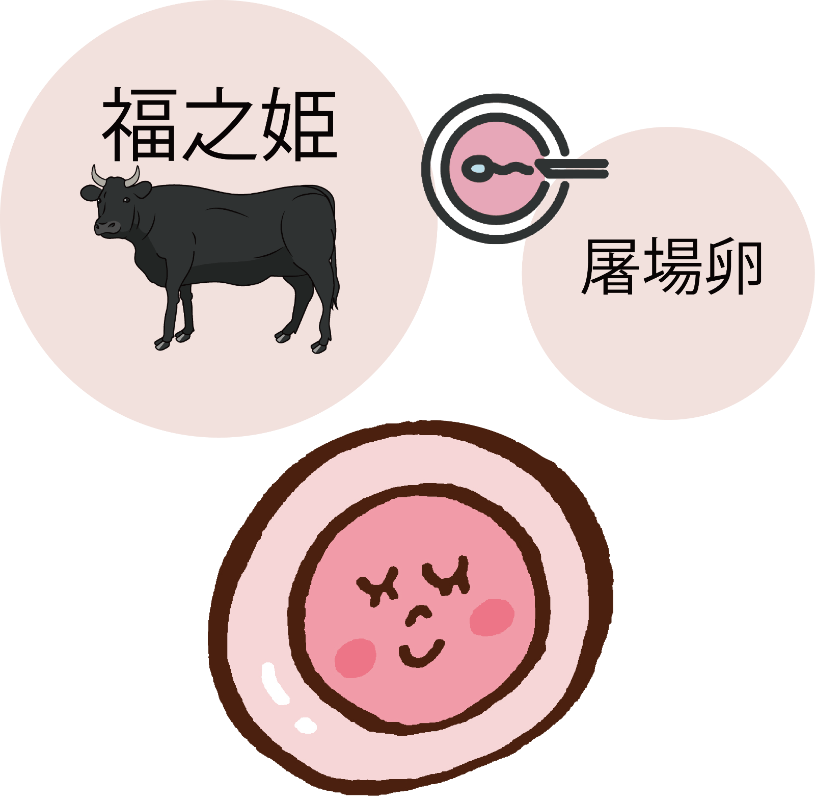 【銀行振込のみ対応商品】和牛受精卵 MOQ5個~ 屠場卵_福之姫(送料別)