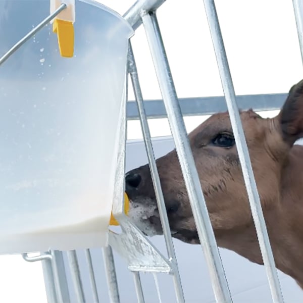 哺乳プラバケツセットスペアパーツセット[ベージュのみ]