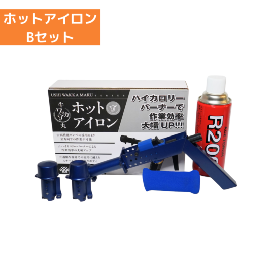 ホットアイロンBセット（本体１個、ガスボンベ1本、こて先凹、こて先凸各1個）