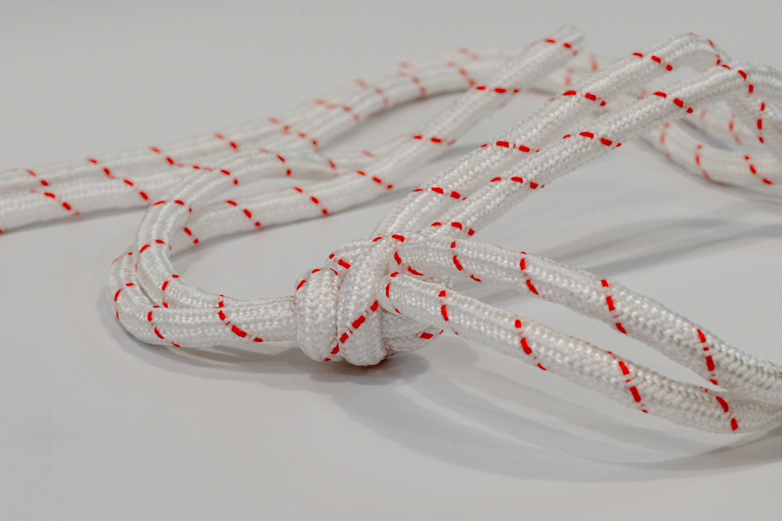 牛用頭絡（金具付き）