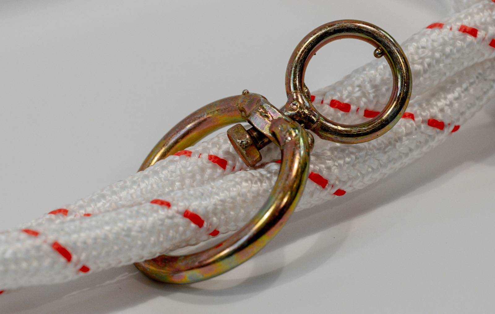 牛用頭絡（金具付き）