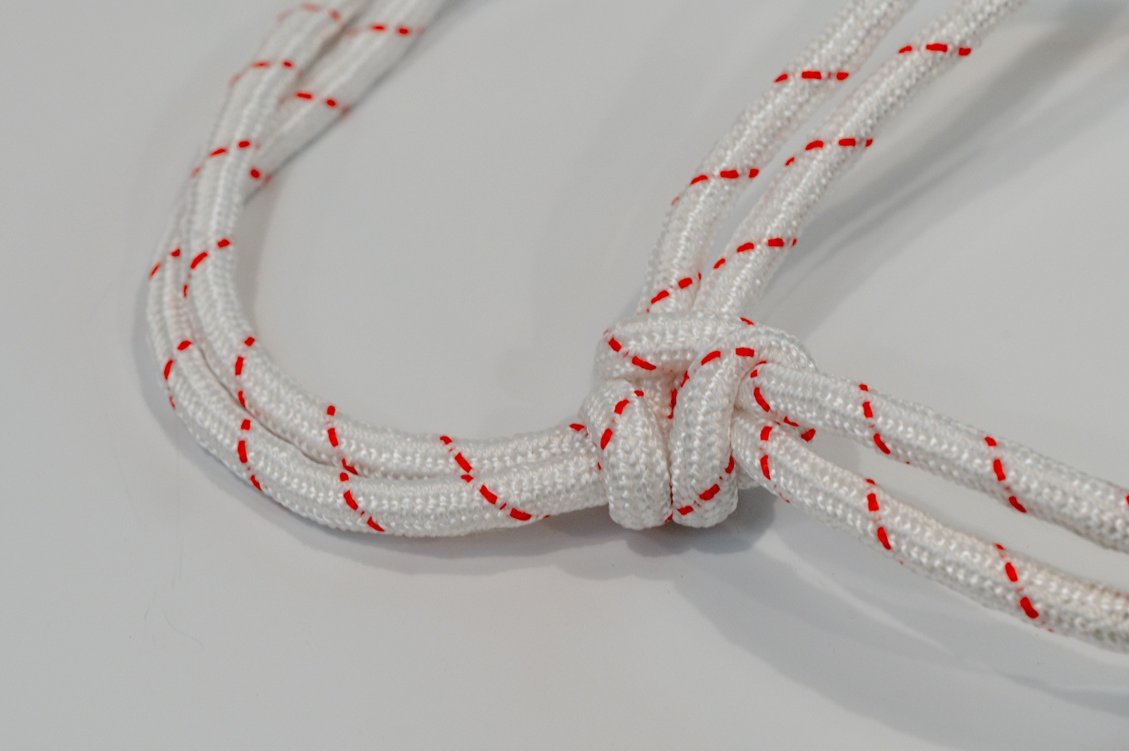 牛用頭絡（金具付き）