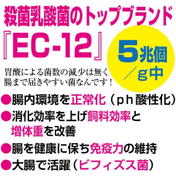 KANZOUKING【甘草＋タバタの乳酸菌】2kg