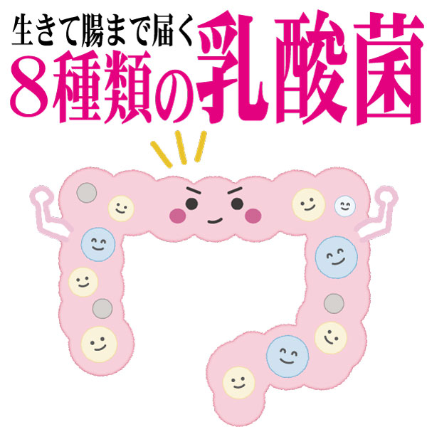 KANZOUKING BABY(ミルク用)【甘草＋タバタの乳酸菌】2kg