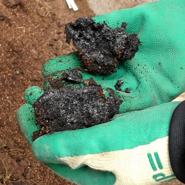 タバタの酵素【20kg梱包】紙袋