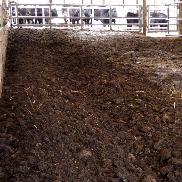 タバタの酵素【1kg×20袋梱包】箱