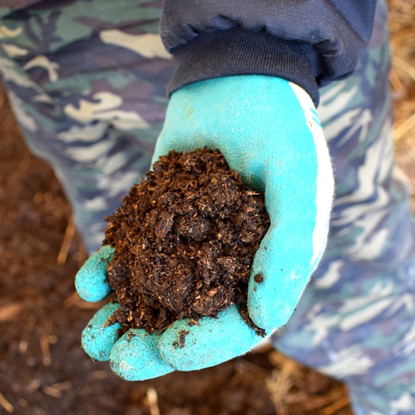 タバタの酵素【1kg×20袋梱包】箱