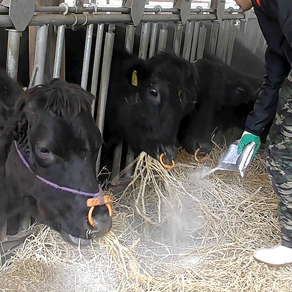 タバタの酵素【1kg×20袋梱包】箱
