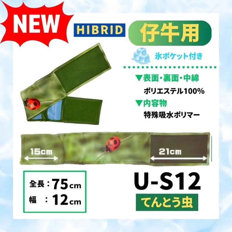 てんとうむしさん専用【新品未使用】 プレイポップ IR RCてんとうむし(赤外線通信) トイザらス限定