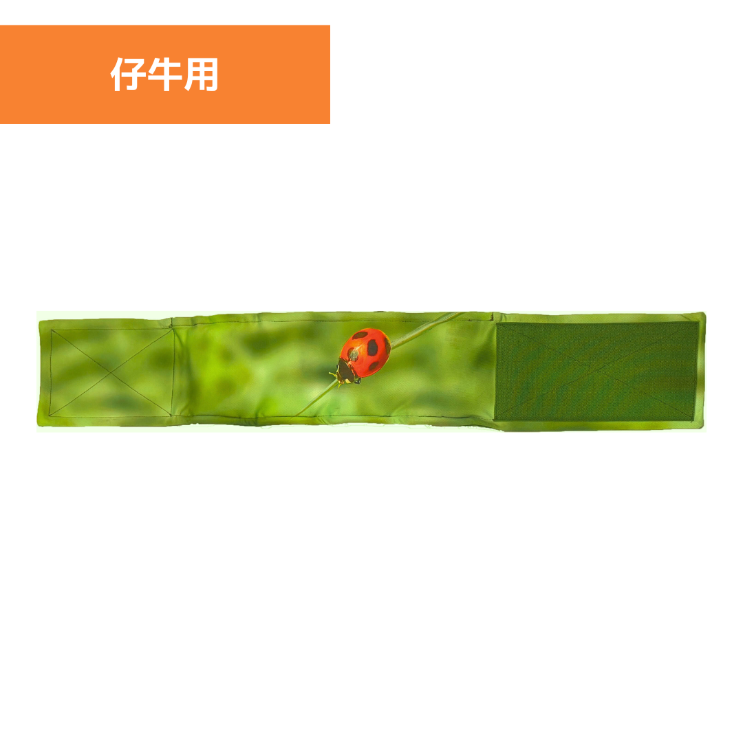 てんとうむしさん専用【新品未使用】 プレイポップ IR RCてんとうむし(赤外線通信) トイザらス限定